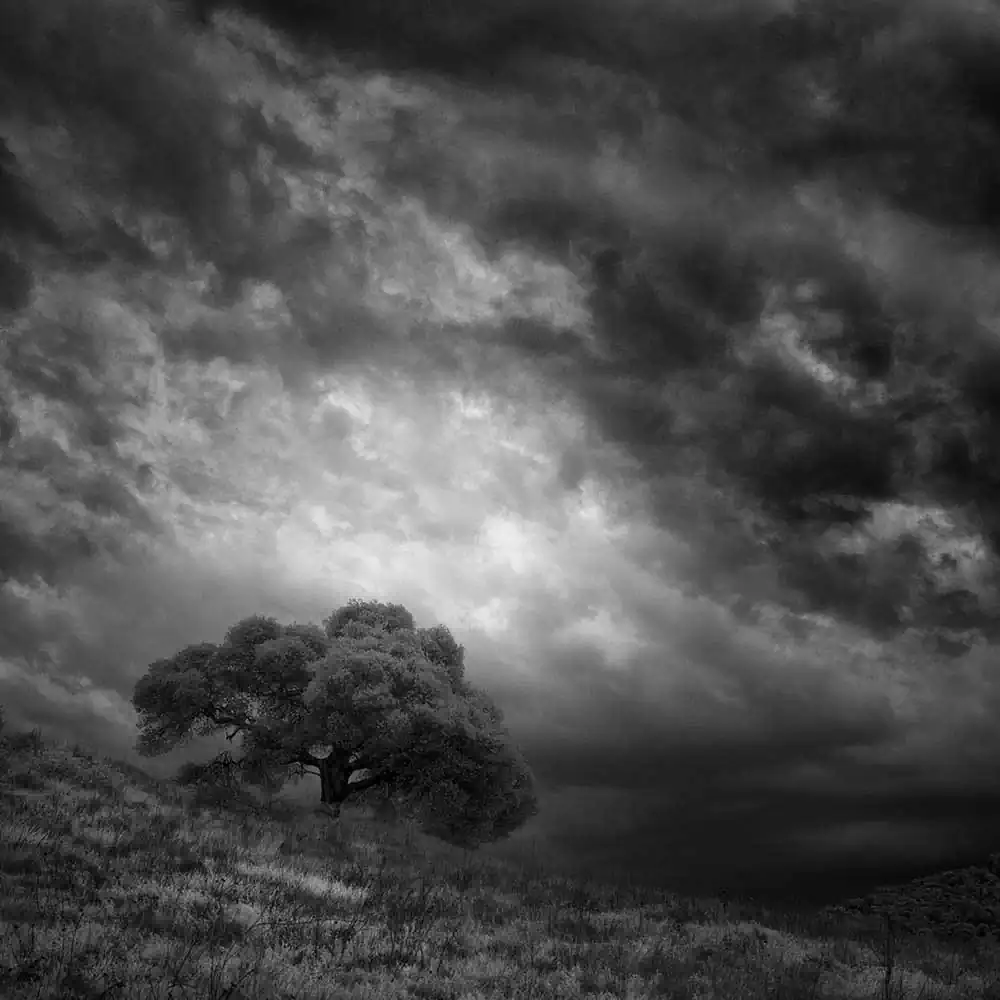 Infrared Silence Series | Nathan Wirth