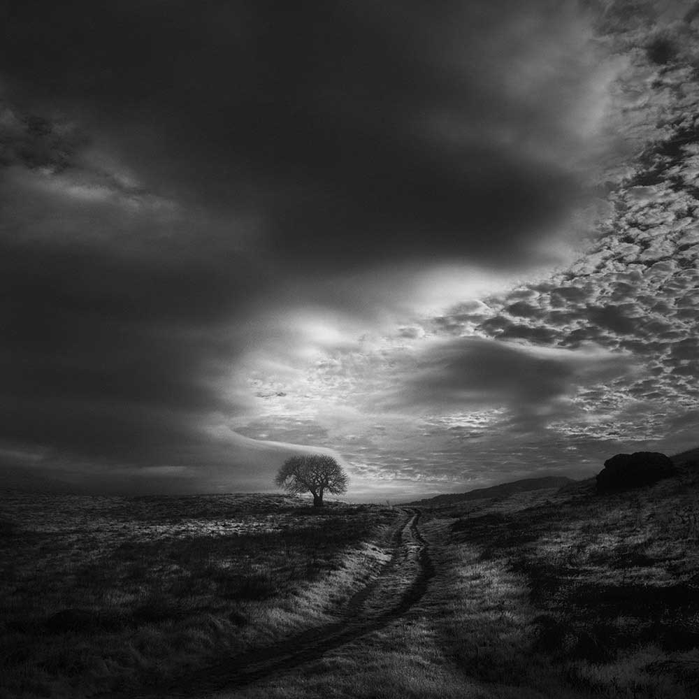 Infrared Silence Series | Nathan Wirth
