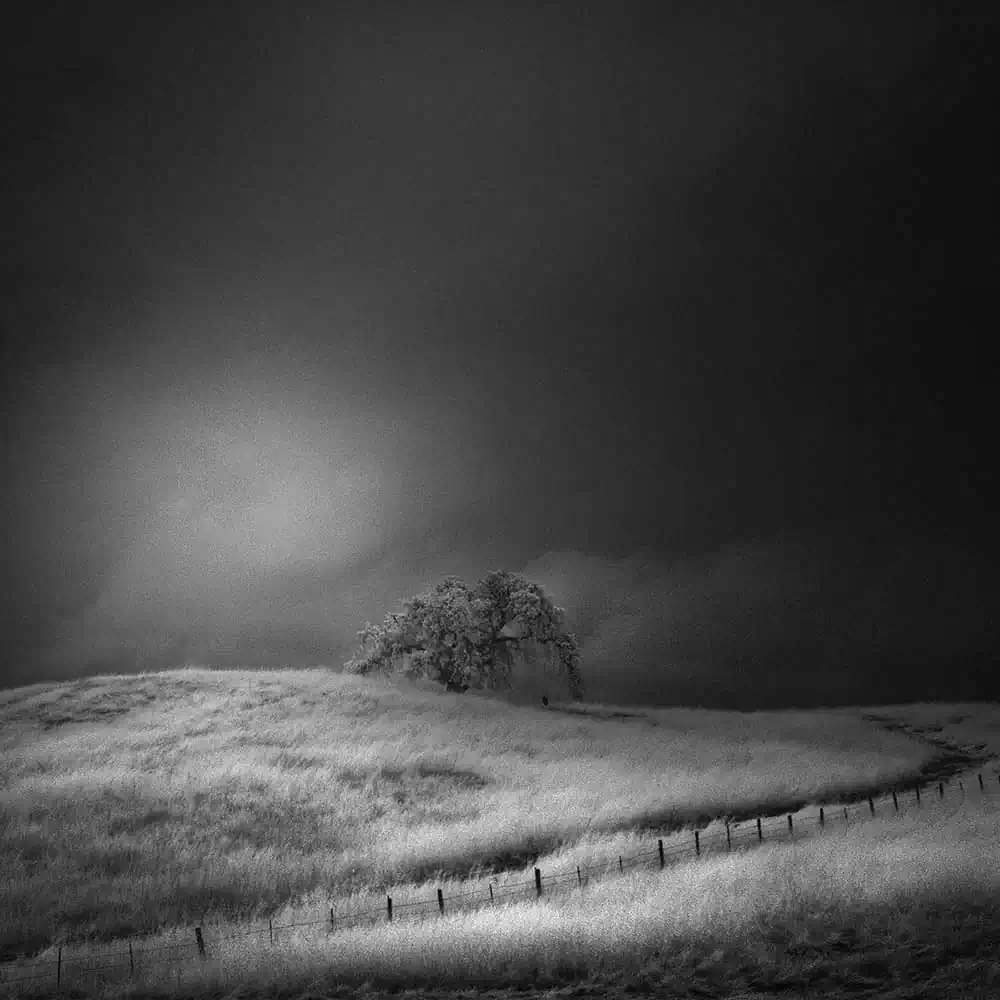 Infrared Silence Series | Nathan Wirth