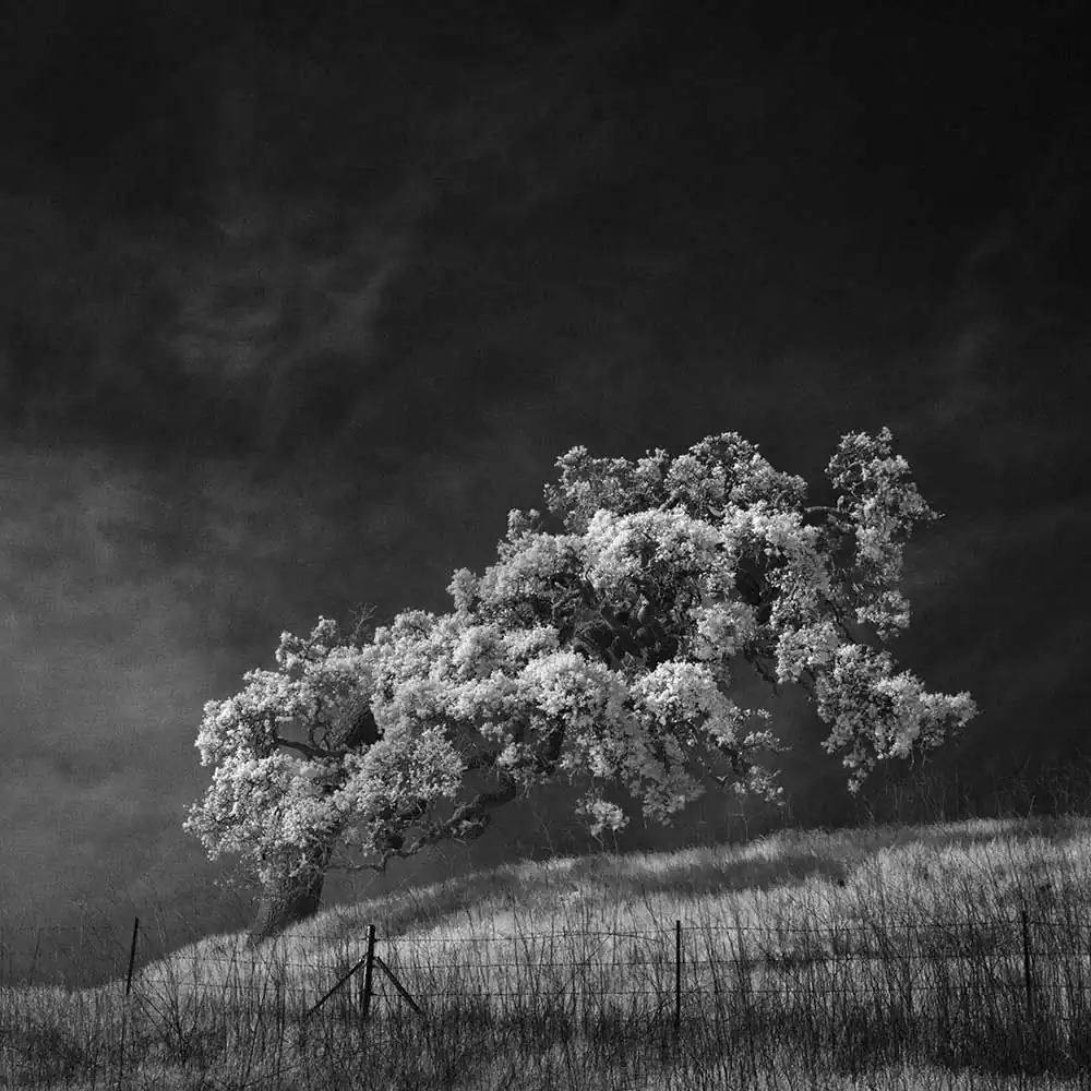 Infrared Silence Series | Nathan Wirth