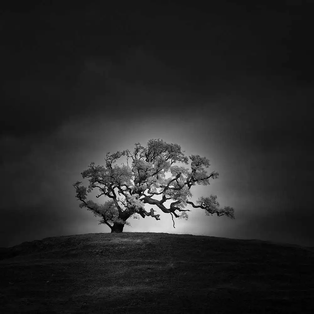 Infrared Silence Series | Nathan Wirth