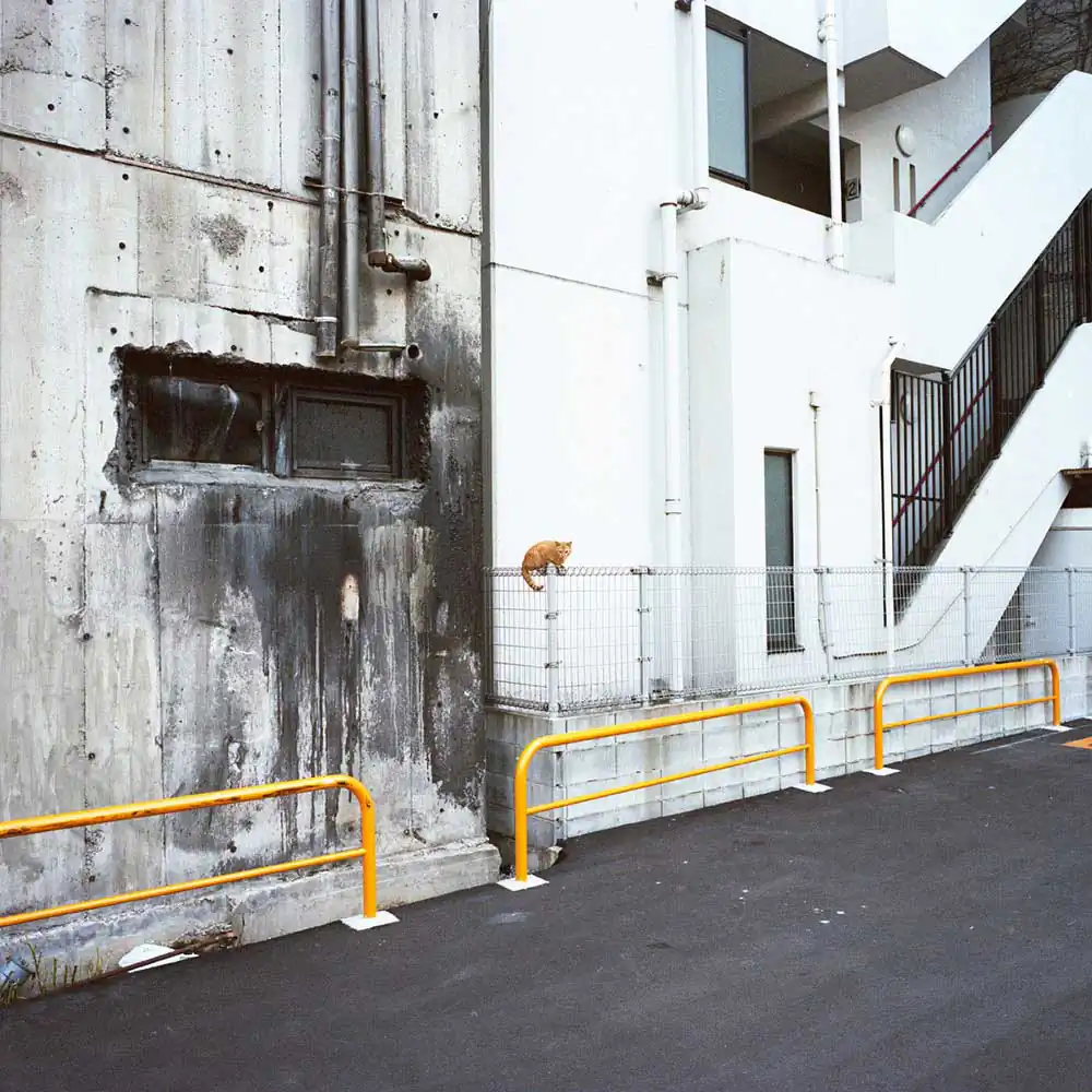 Refusing Landscapes | Wouter Dasselaar