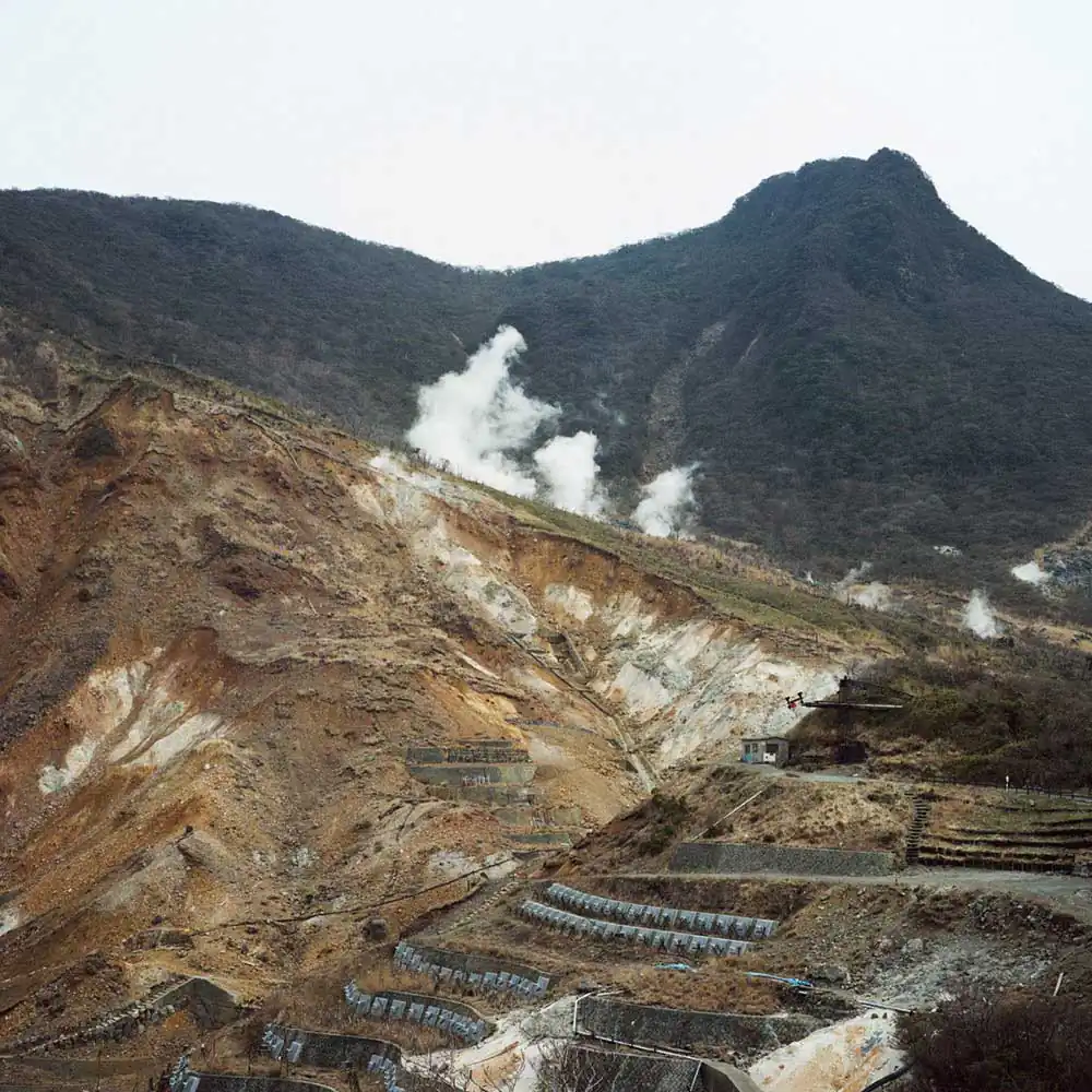 Wouter-Dasselaar_Dodho_009