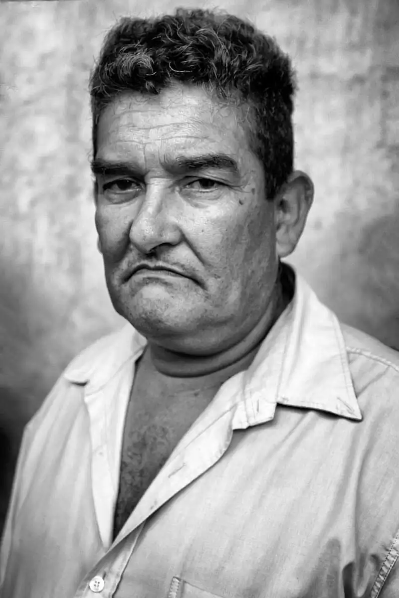 Wild violets by Judith Rodriguez