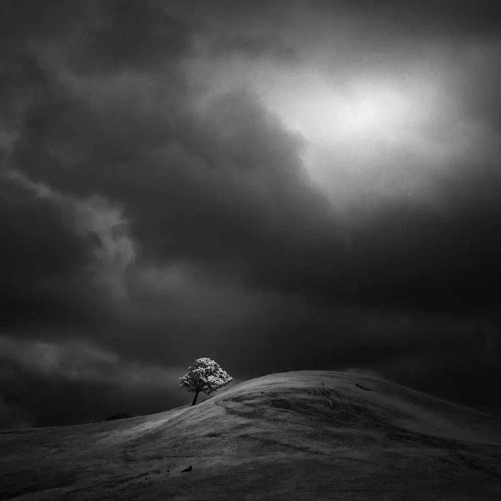 Infrared Silence Series | Nathan Wirth