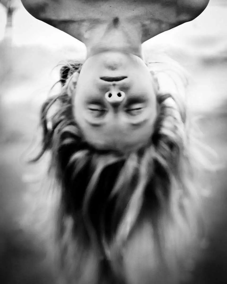 It would lose all purpose by Elaine Suzanne