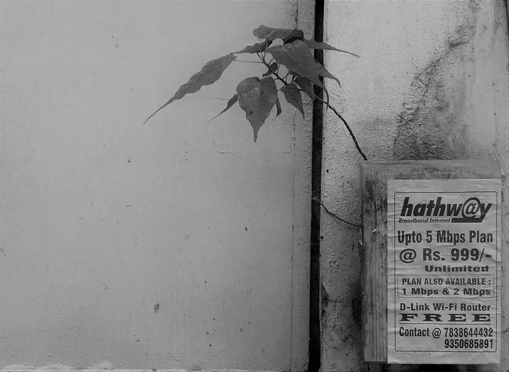 18-Interconnection-Peddada