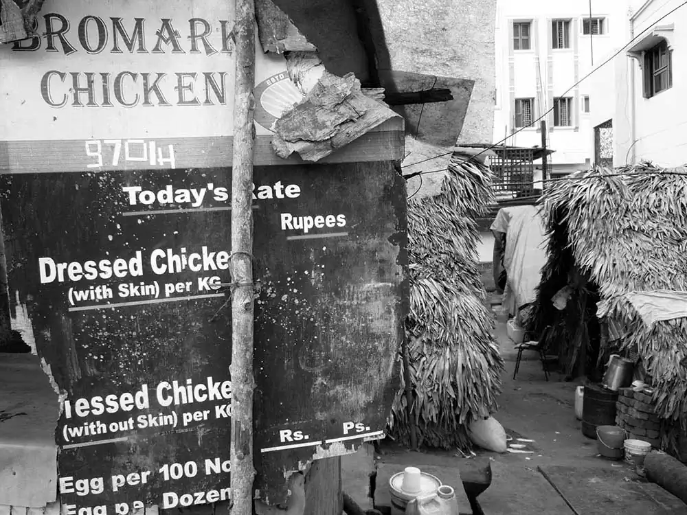 Habitual Primitivism: The Aesthetics of Incongruity | Raju Peddada