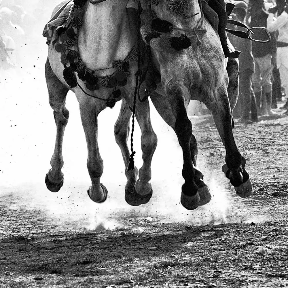 Poetry of Speed by Jagdev Singh