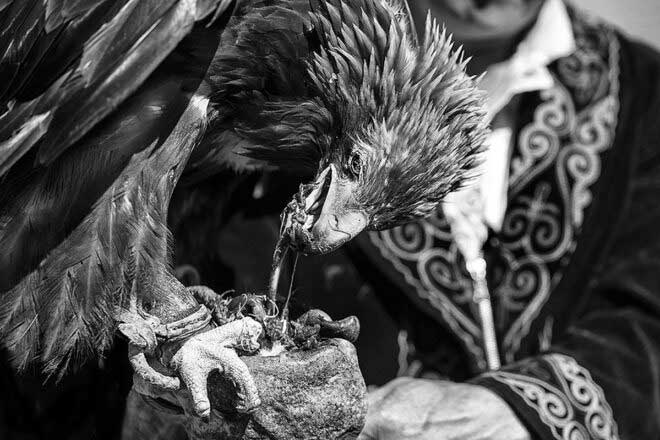 Kazakh eagle hunters & Golden eagle festival by Sanghamitra Sarkar – Dodho