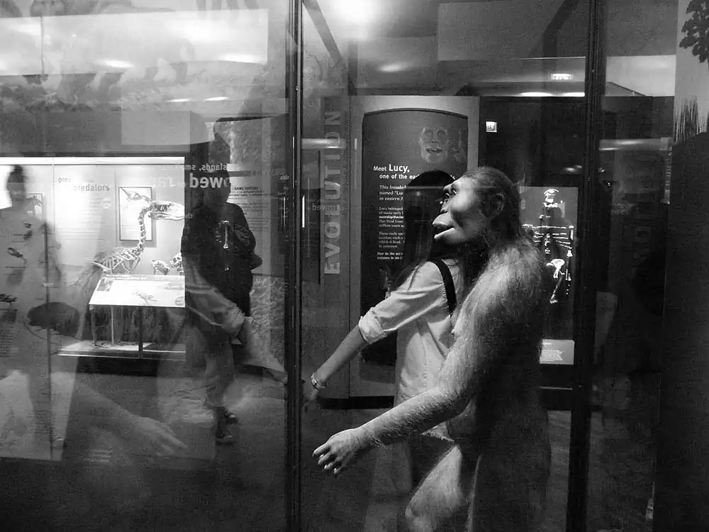 Our Urban Fragmentation: The Aesthetics of Ambiguity by Raju Peddada