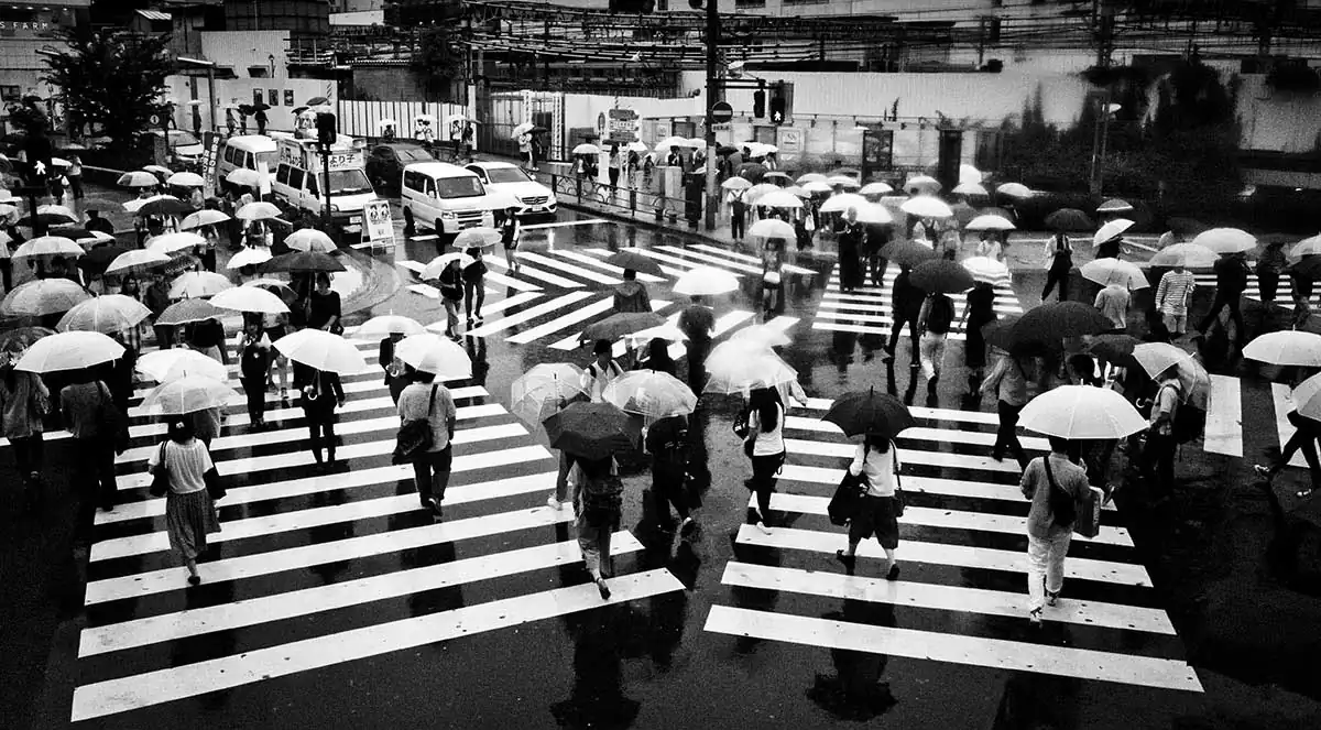 Shirren Lim | Crossroads - Tokyo