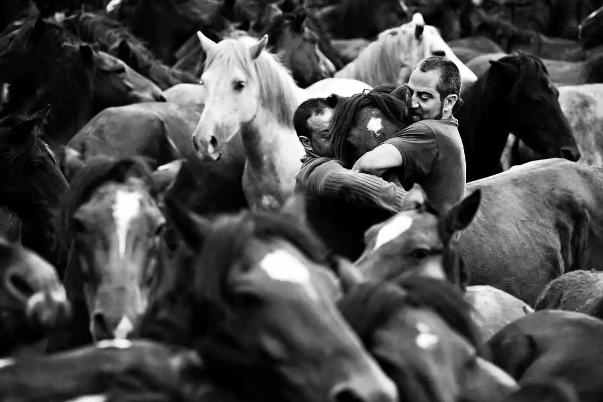 Rapa by Carlos Cazurro