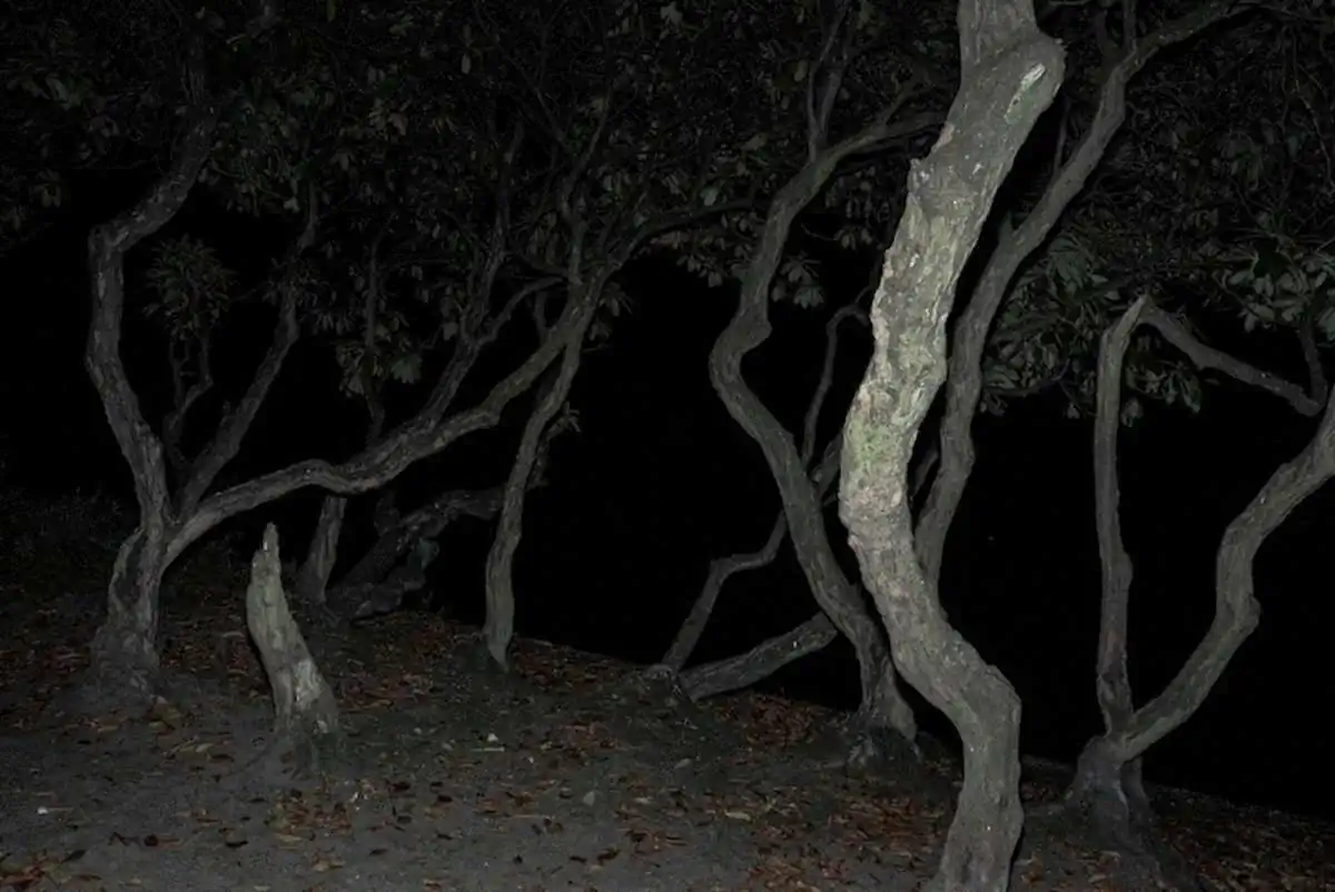 Subtopia_AdrianSaker_12_