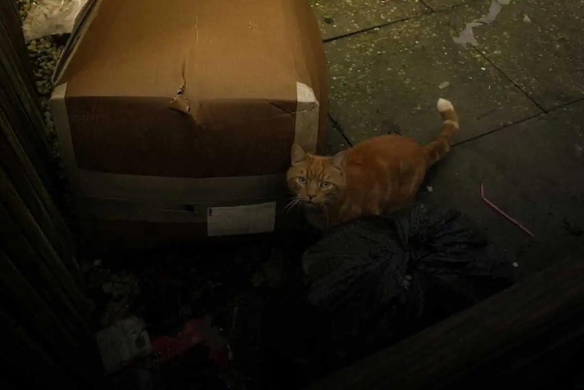 Subtopia_AdrianSaker_14_