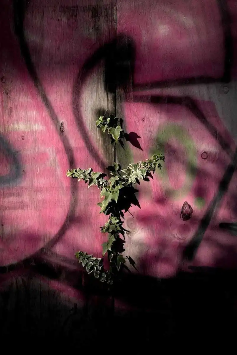 Subtopia | Adrian Saker