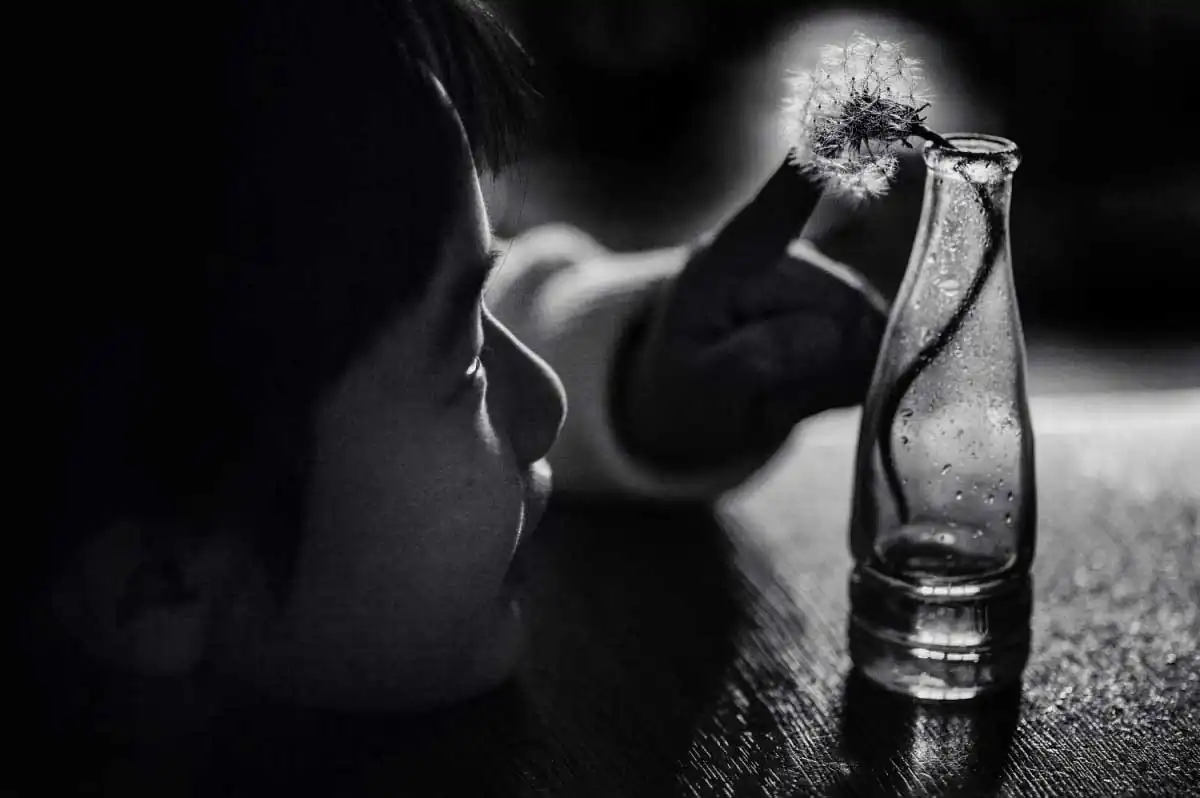 Ordinary days is beautiful  by Takako Fukaya