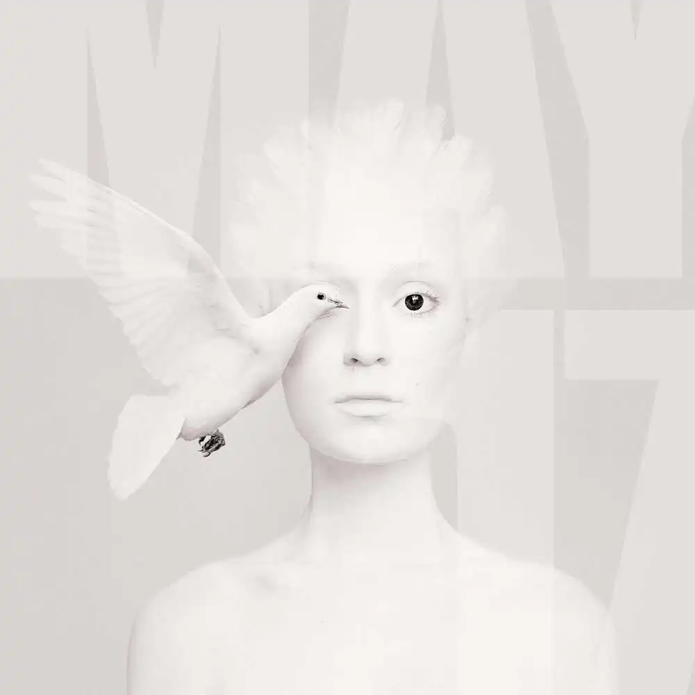 May 2017 : Most Popular Photographers