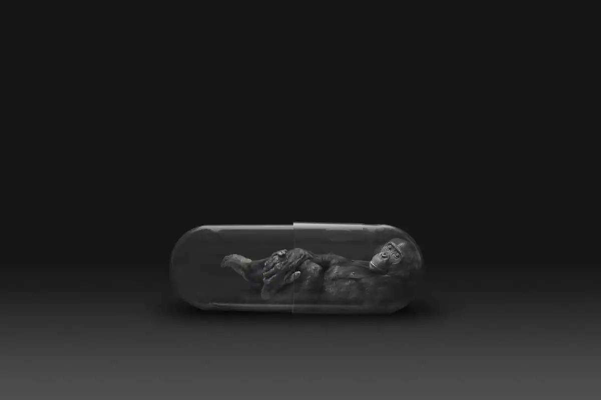 Lifepod by Gianluca Micheletti