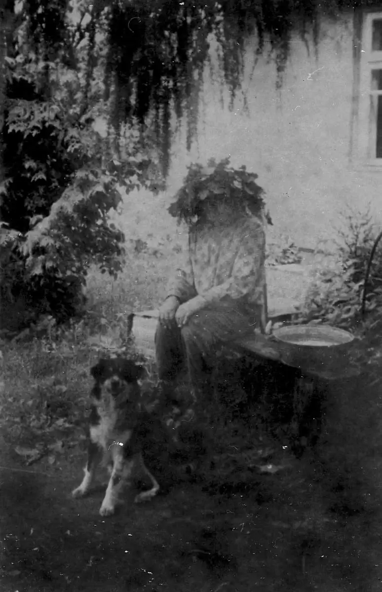 Taxonomie of Fear by Alnis Stakle