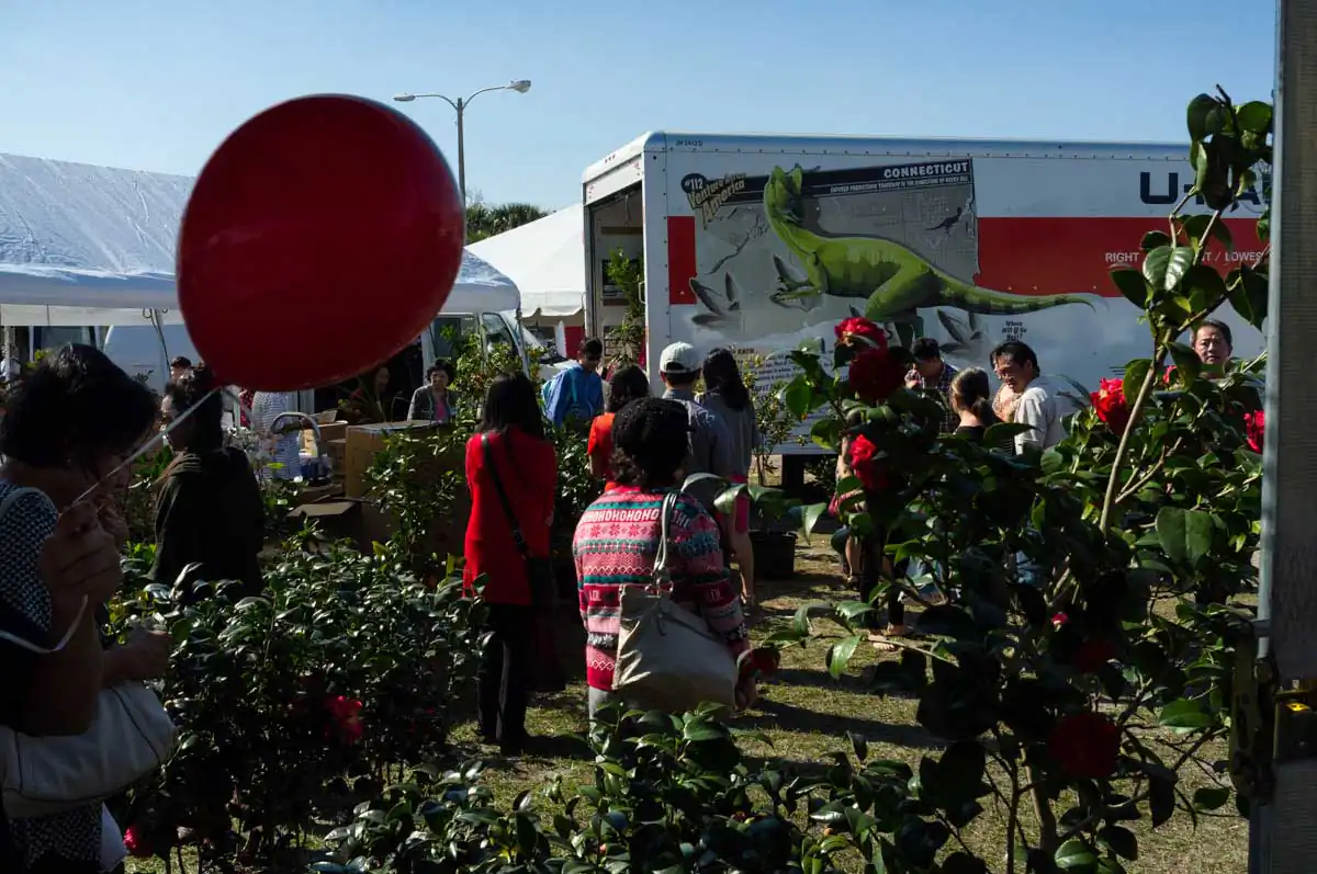 Costly Signals by Danny DeGennaro