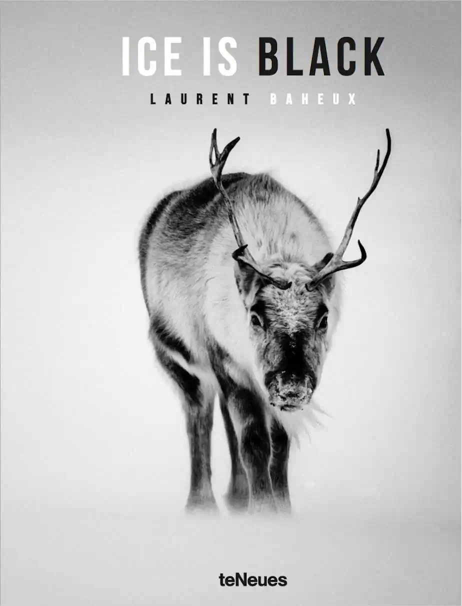 Ice is Black by Laurent Baheux