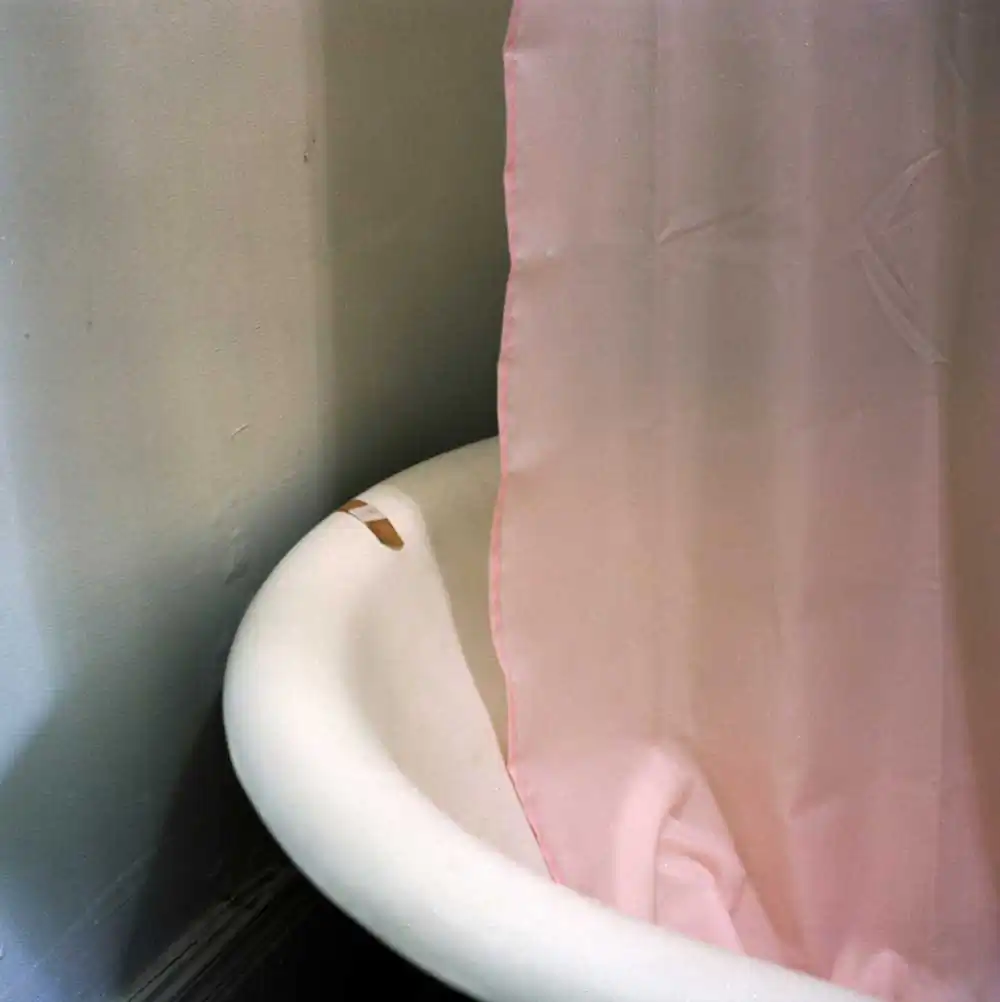 Seeking Stephanie by Evie Metz