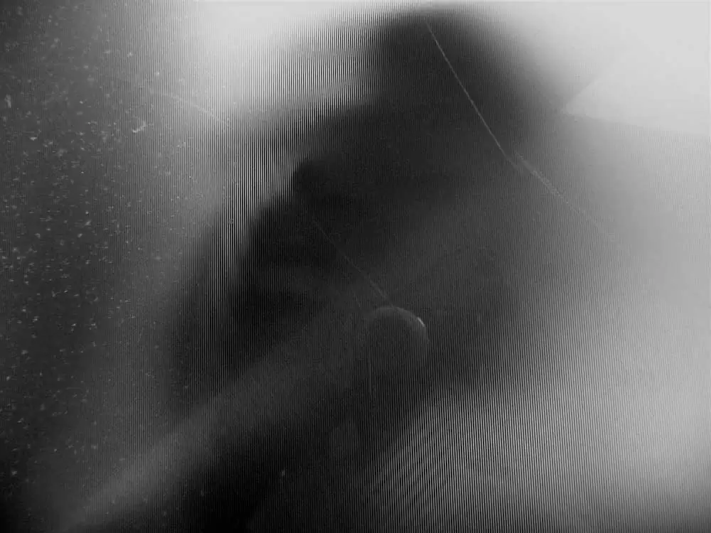 Horror’s Aesthetic in Ambiguity! by Raju Peddada