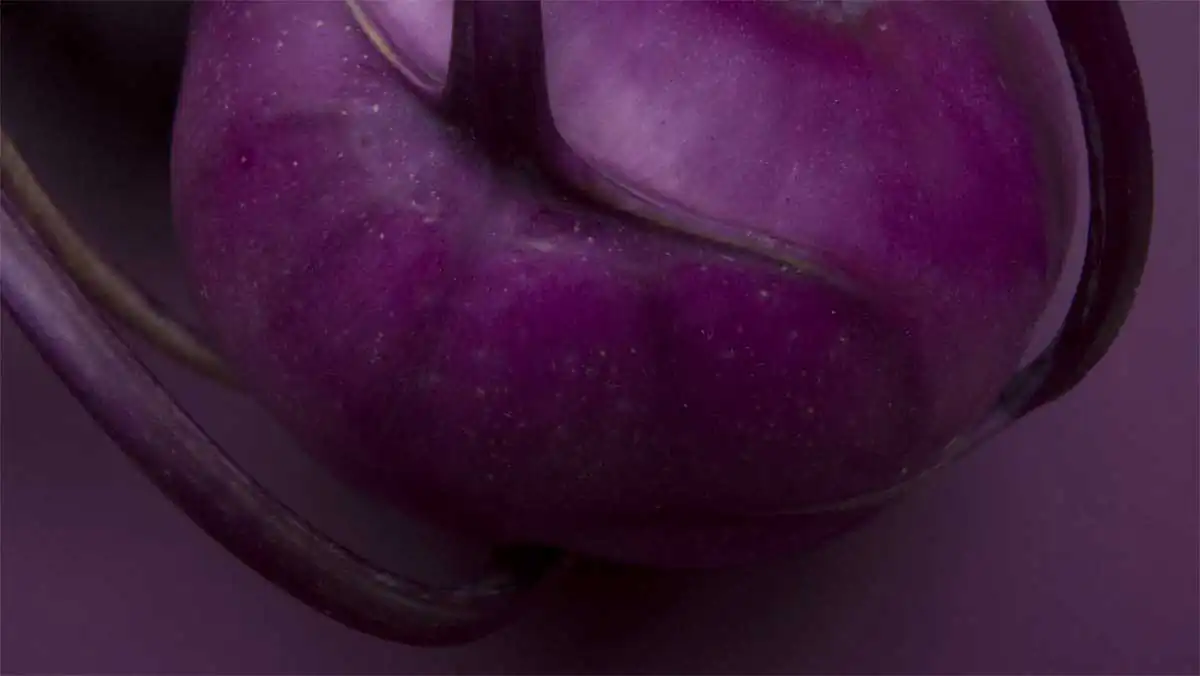 Minimalistic Food Portraiture by Foodism360