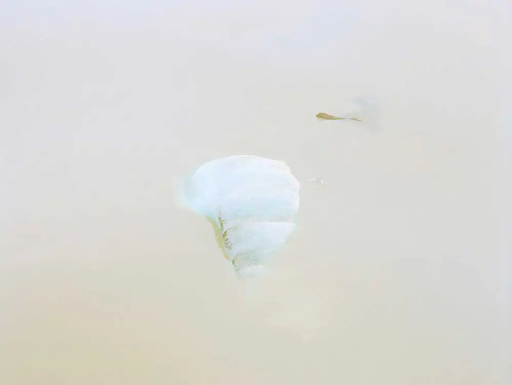 Luca Tombolini ; LS, 2011