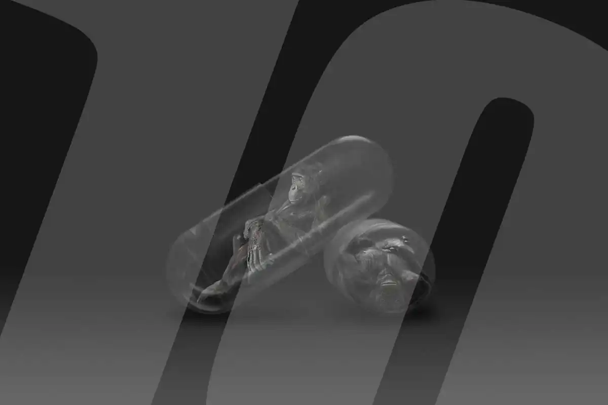 10 Great fine art photographers