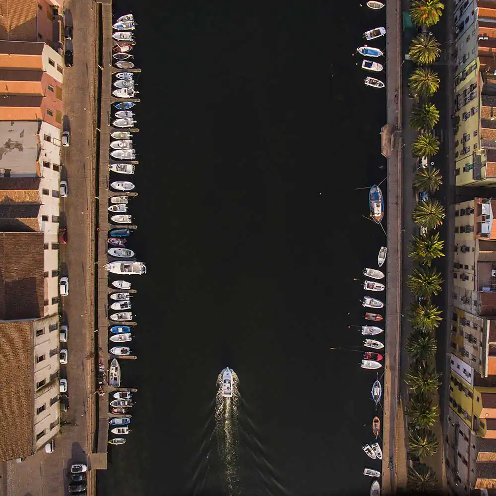 Skin by Alberto Masala