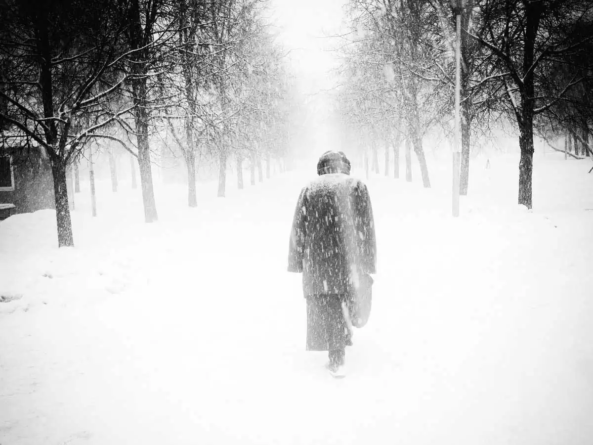 Dialogues of Gogo and Didi by Alexander Chernavskiy