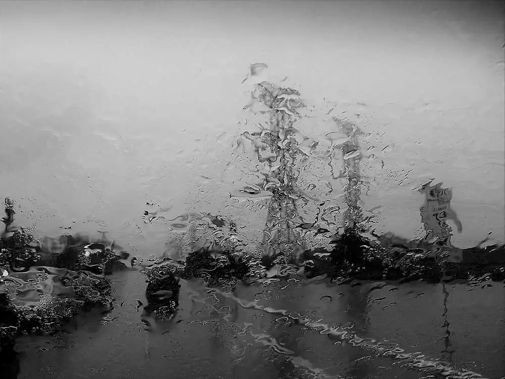 Ten Thousand Fish-eye Lens! By Raju Peddada