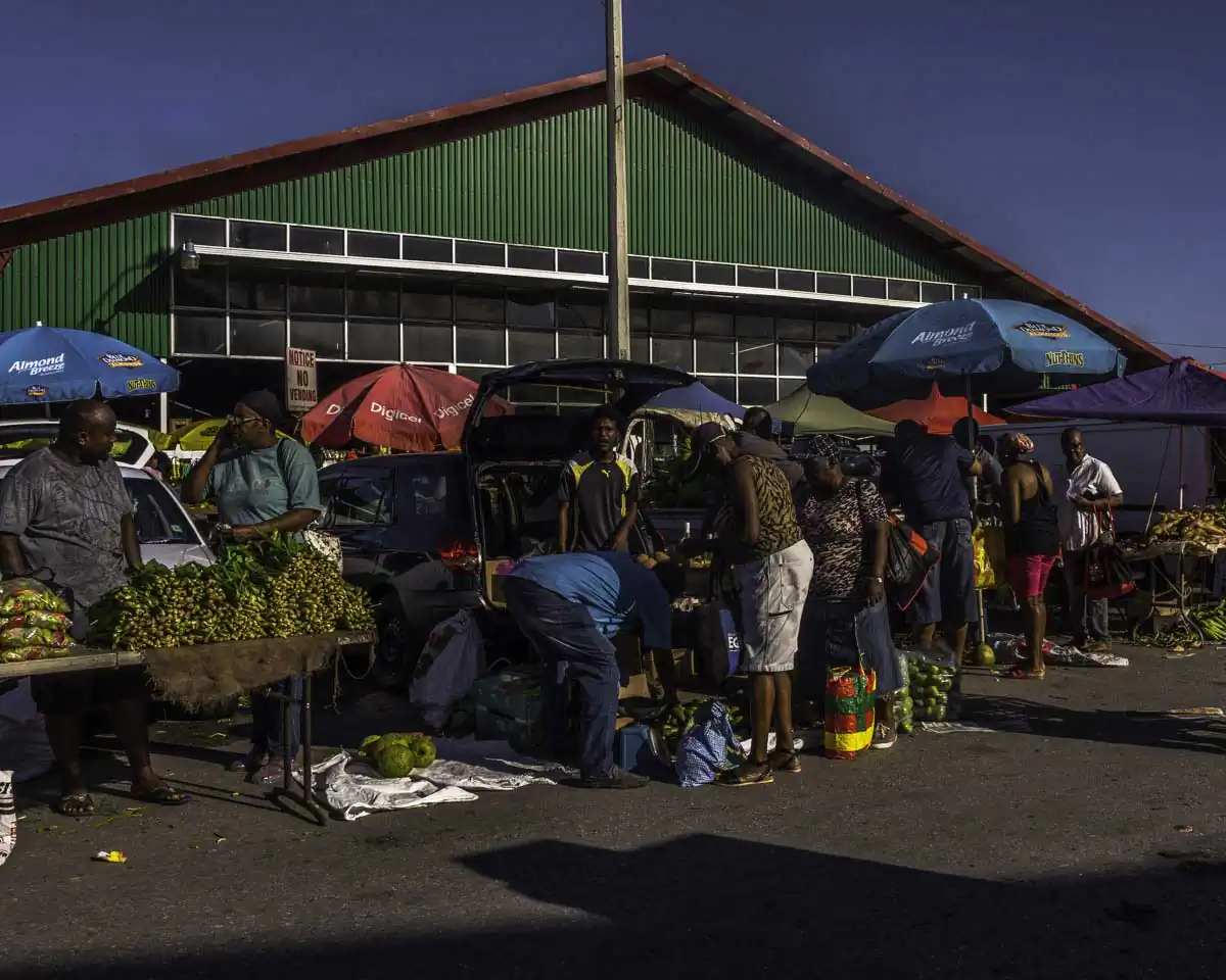 Mood of the Market by Christine Norton