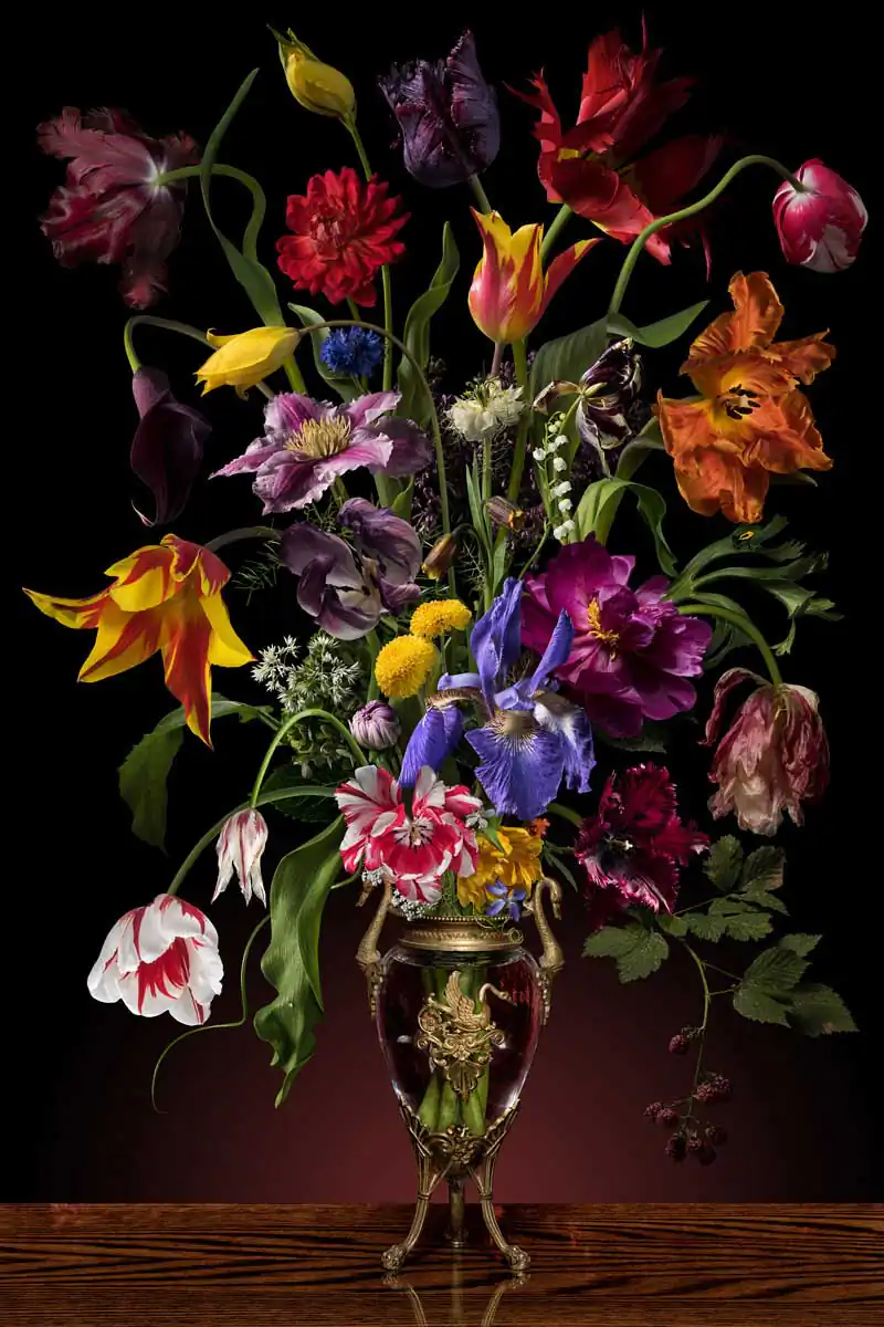 Floral photography; Silent Beauties by Julija levkova