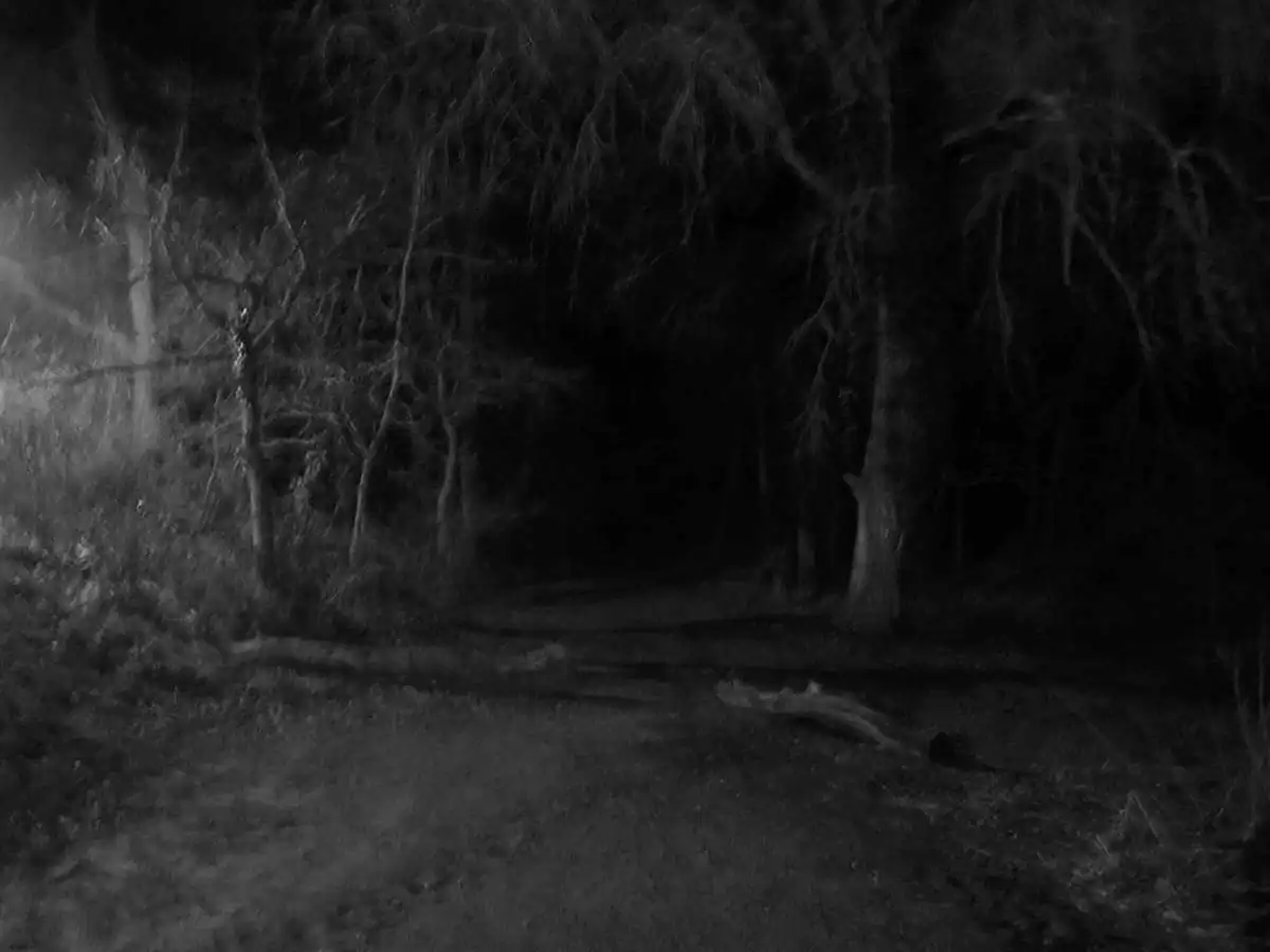 Limen by Katlijn Blanchaert