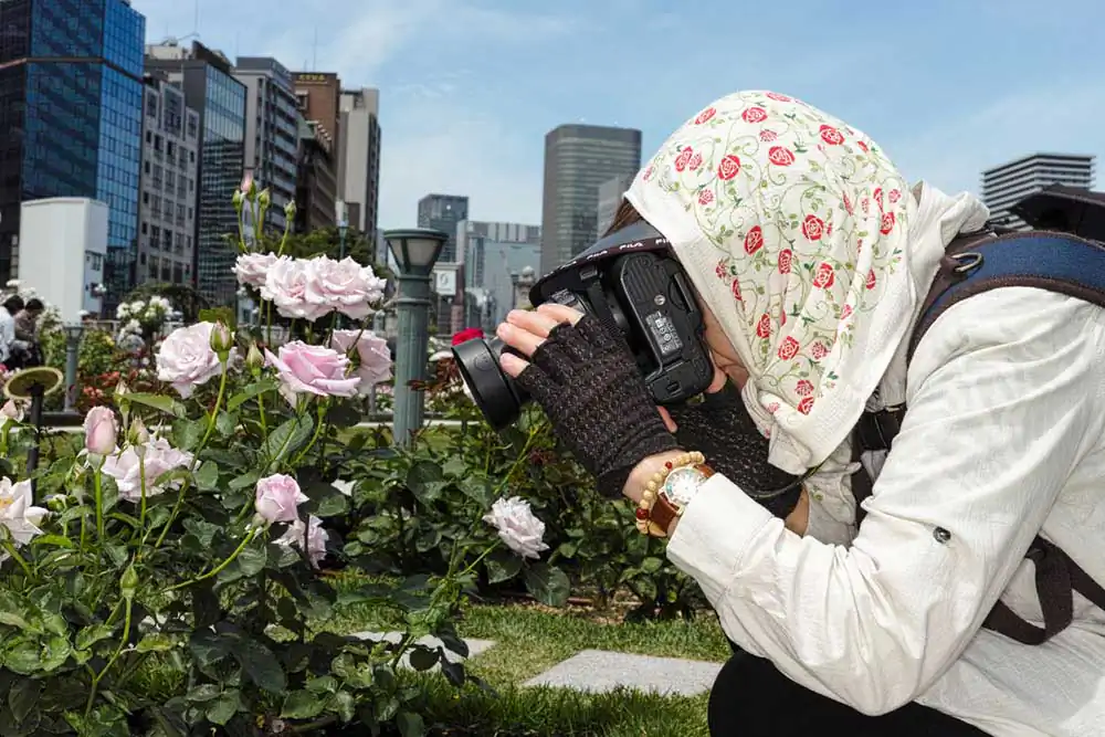 Rose Garden by Takayuki Narita