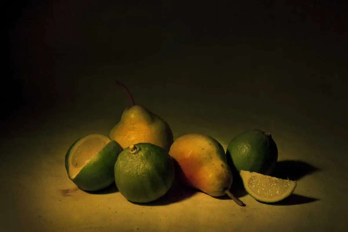 Still life by Stefania Piccioni
