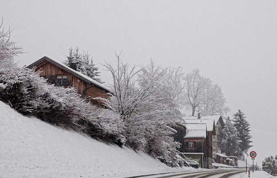 Egg- A Day in winter by Abhijit Bose