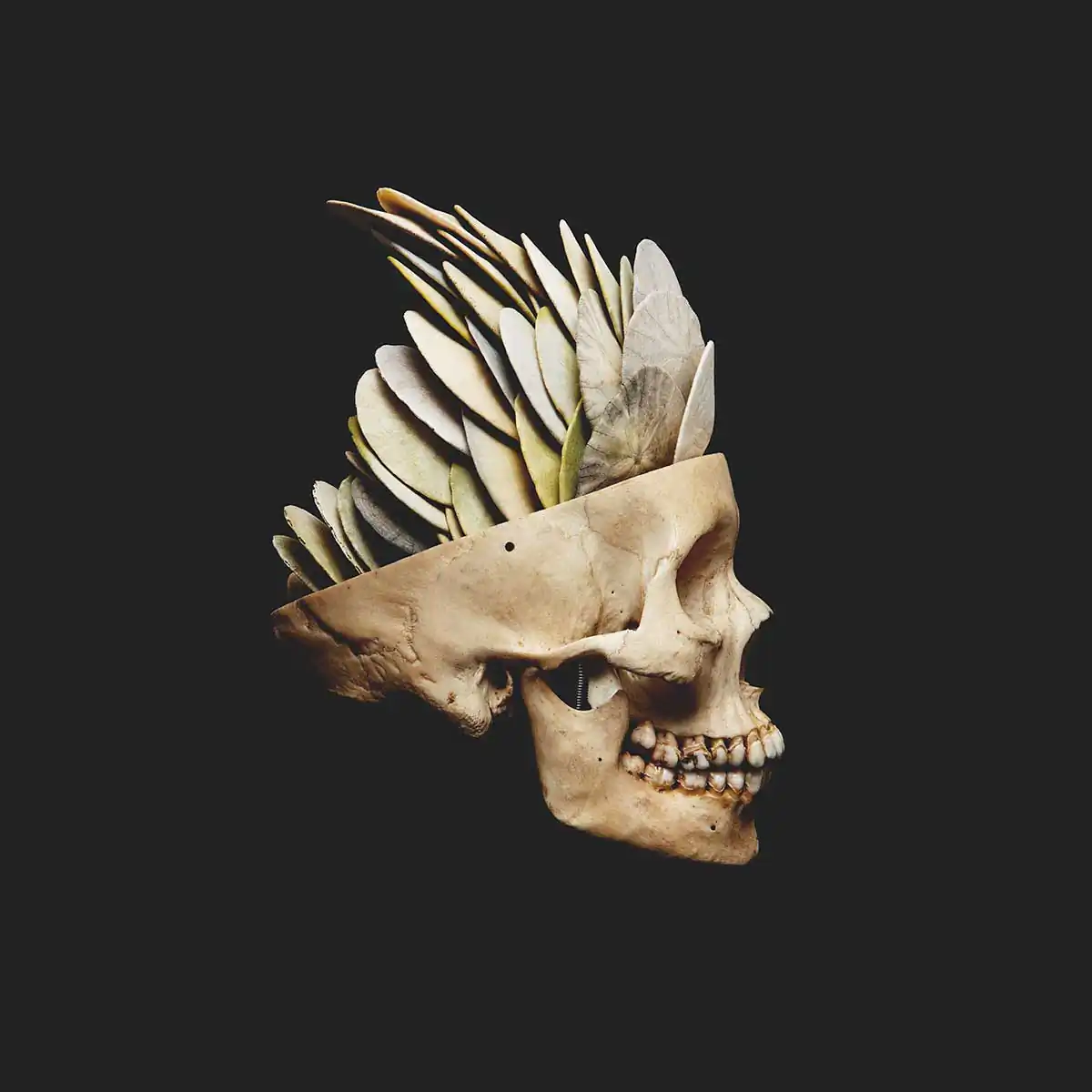 Anthropocene by David Ellingsen