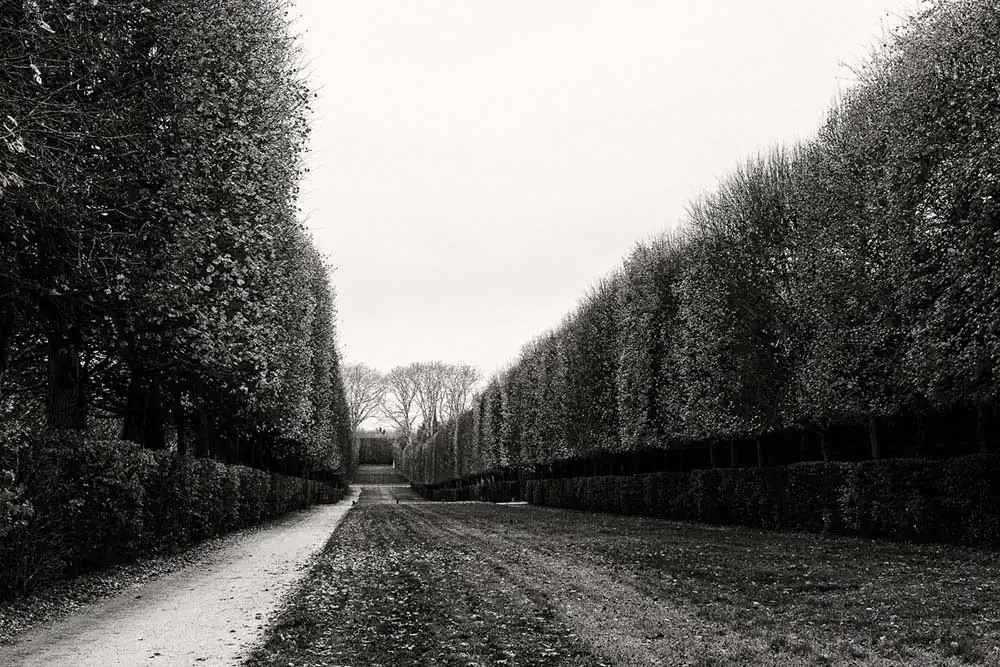 Serenity in the gardens of Versailles by Gregoris Mentzas
