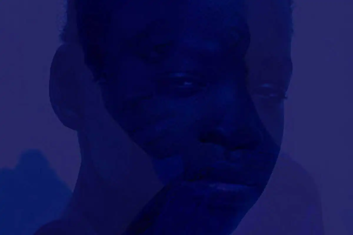 Nexus by Elizabeth Koning