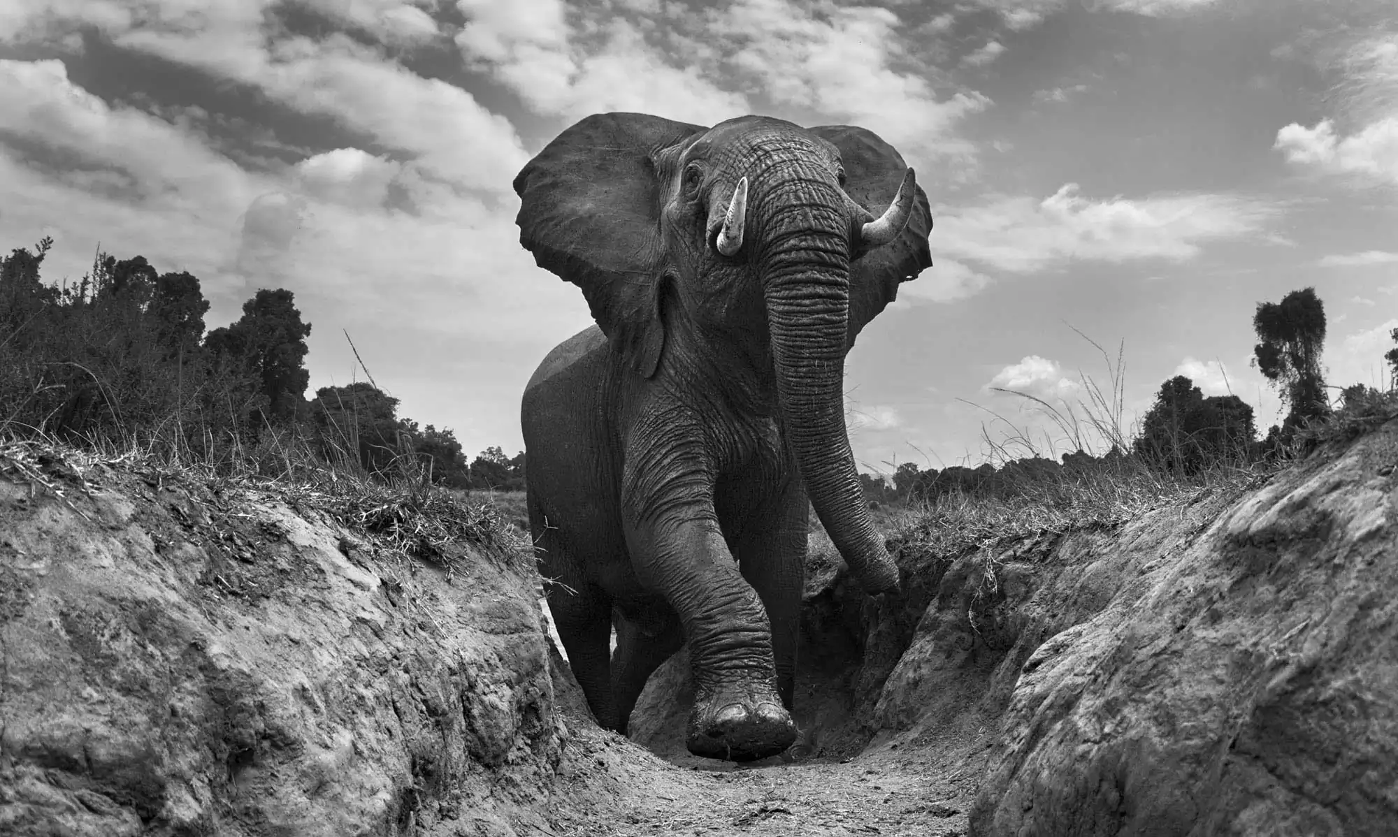 The Mara by Anup Shah