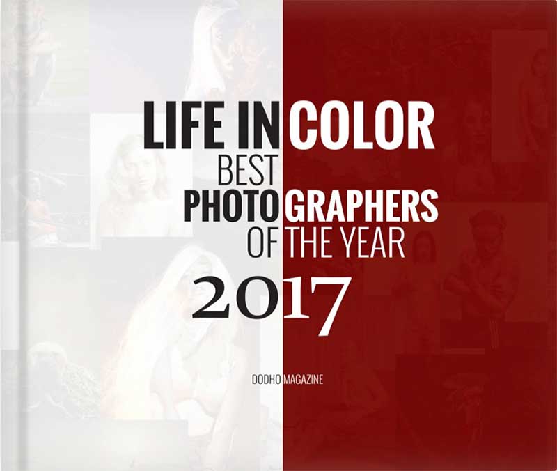 https://www.dodho.com/wp-content/uploads/2018/01/c2017.jpg
