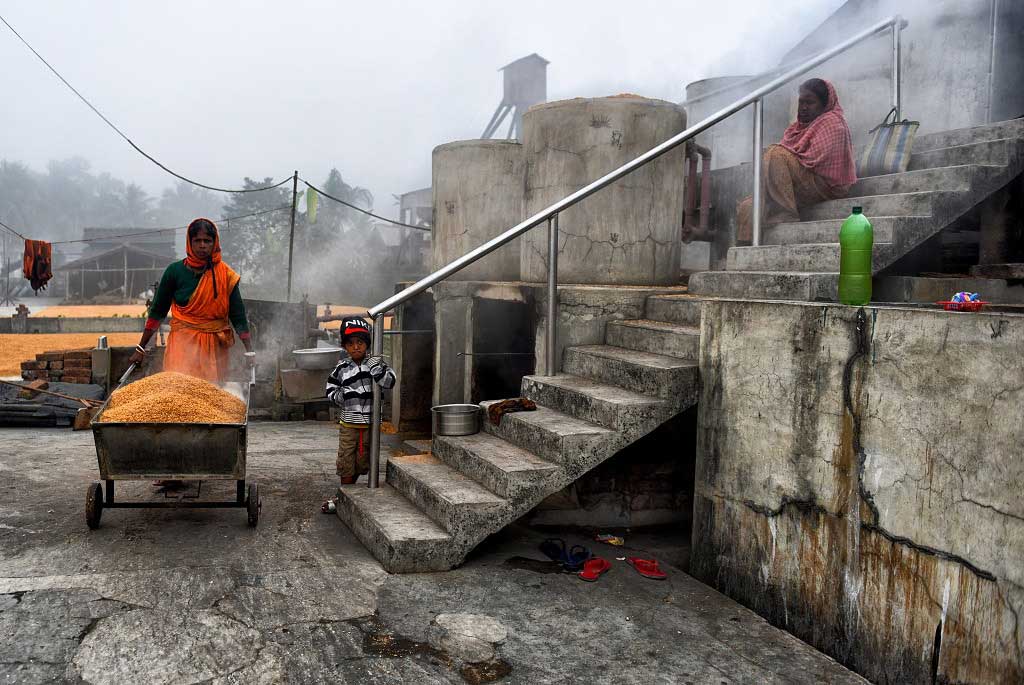 Manual Drying Process of Rice Grain by Avishek Das