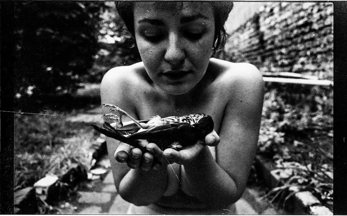 Luma Koklova ; There are types of beauty that eschew prettiness