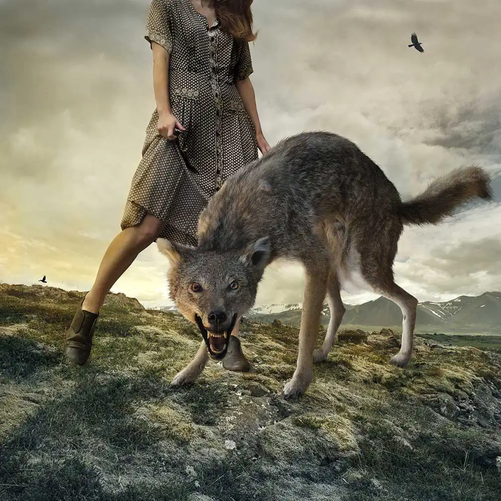 Still Beating by Tom Chambers