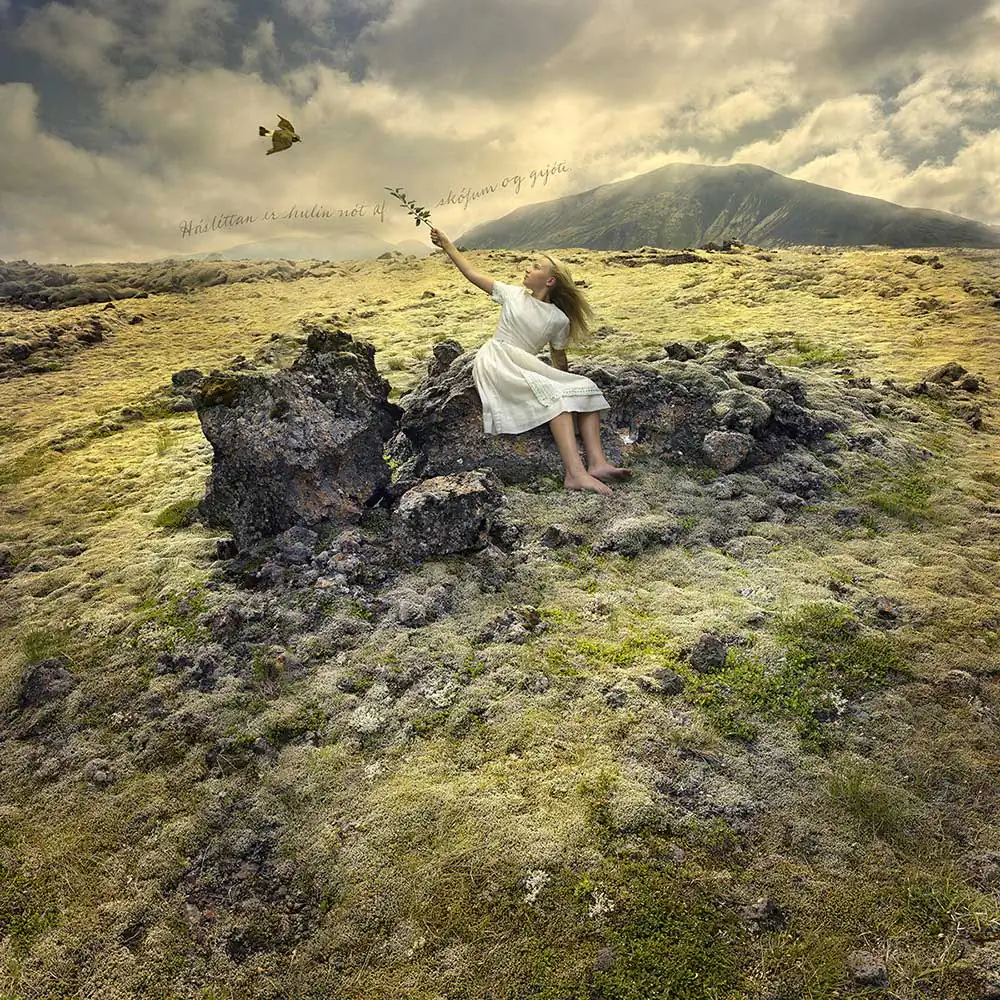 To The Edge by Tom Chambers