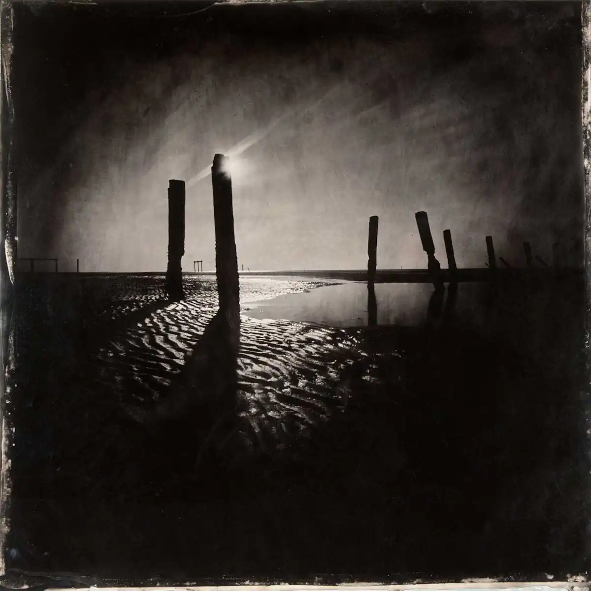 Nocturnes by S. Gayle Stevens and Judy Sherrod